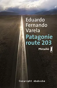 Patagonie route 203