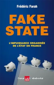 Fake state