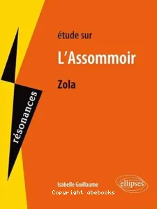 Etude sur Emile Zola, L'assommoir