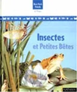 Insectes et petites bêtes