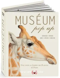 Muséum pop-up