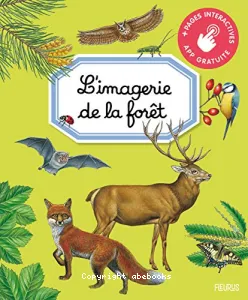 Imagerie de la forêt (L')