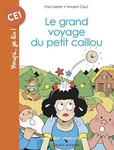 Le grand voyage du petit caillou