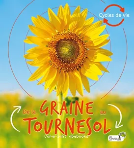 De la graine au tournesol