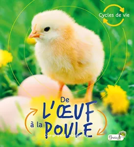 De l'oeuf à la poule