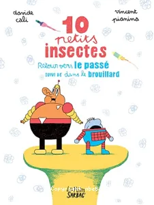 10 petits insectes