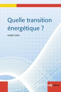 Quelle transition énergétique?