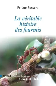 La véritable histoire des fourmis