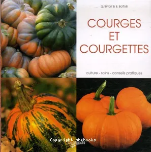 Courges et courgettes