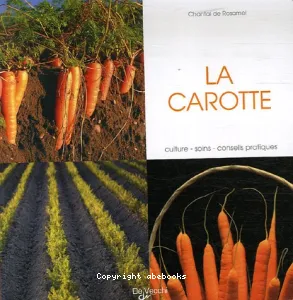 La carotte