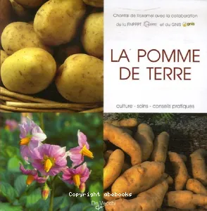 La pomme de terre