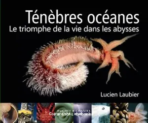 Ténèbres océanes