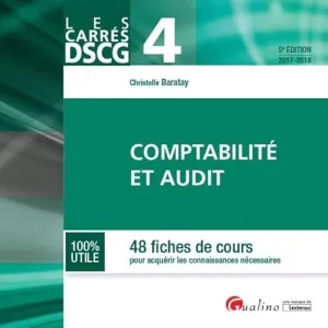 Comptabilité et audit