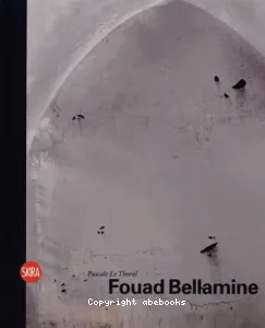 Fouad Bellamine