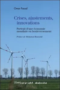 Crises, ajustements, innovations