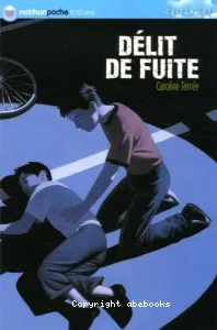 Délit de fuite