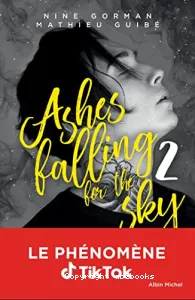 Ashes falling for the sky