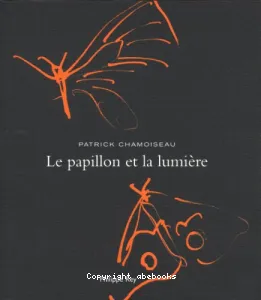 Le papillon et la lumière