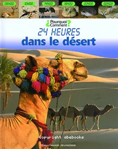 24 heures dans le désert