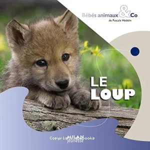 Le loup