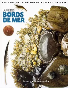 La vie des bords de mer