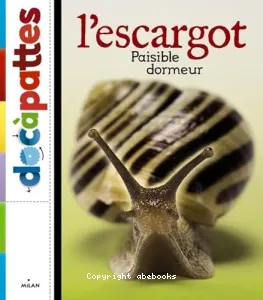 L'escargot