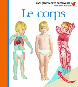 Le corps