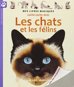 Cache-cache avec les chats et les félins|