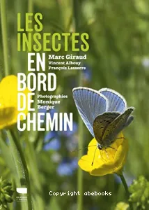 Les insectes en bord de chemin