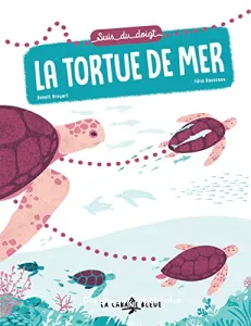 La tortue de mer