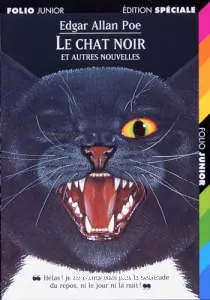 Le chat noir