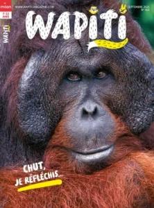 Wapiti, N°414 - septembre 2021 - Chut, je réfléchis...