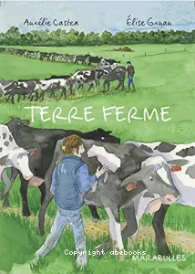 Terre ferme