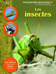 Les insectes