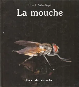 Mouche (la)