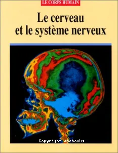 Cerveau et le système nerveux (le)