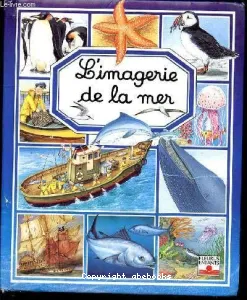 L'imagerie de la mer