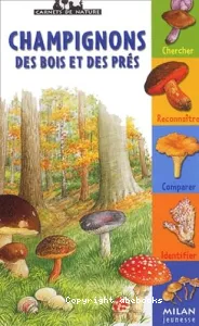 Champignons des bois et des prés