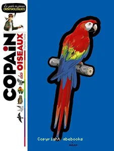 Copain des oiseaux