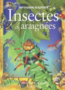 Insectes et araignées