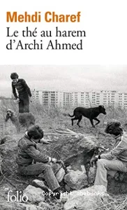 Le Thé au harem d'Archi Ahmed