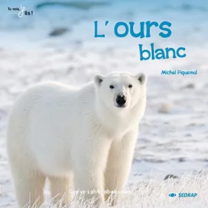 L'ours blanc