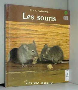 Les souris