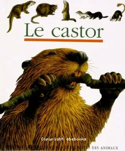 Le castor