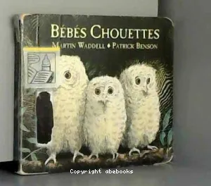 Bébés chouettes