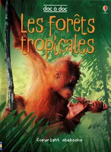 Les forêts tropicales