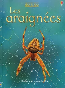 Les araignées