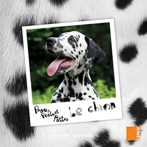 Peau, Poils et Pattes Le chien