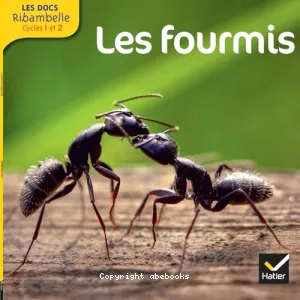 Les fourmis