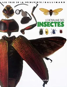 Le Royaume des insectes